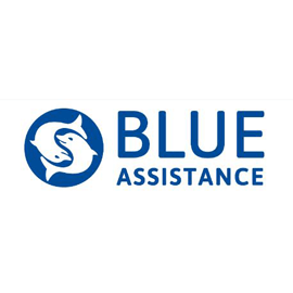 BLUE ASSISTANCE